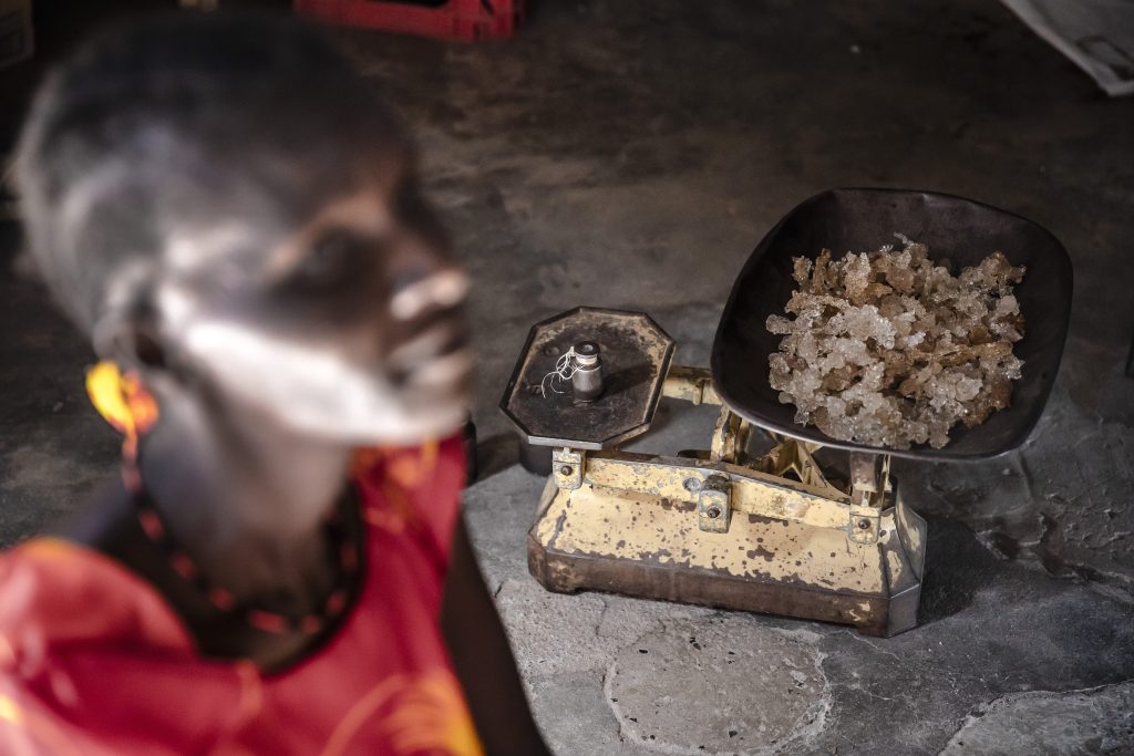 Pastoralist Turkana Embracing Gum Arabic Trade as Climate Change Bites