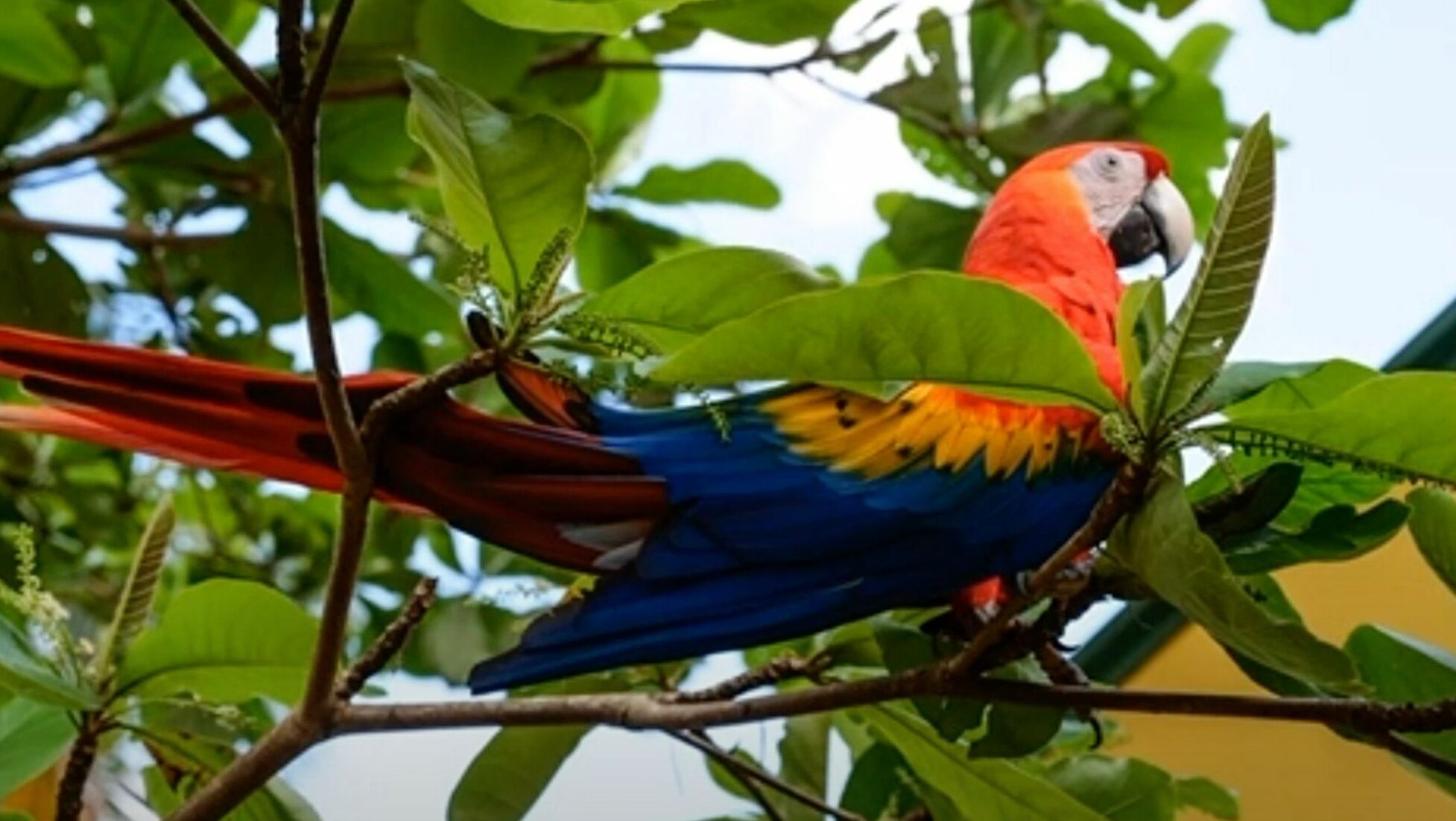 Kostaryka – kraj, który postawił wszystko na naturę